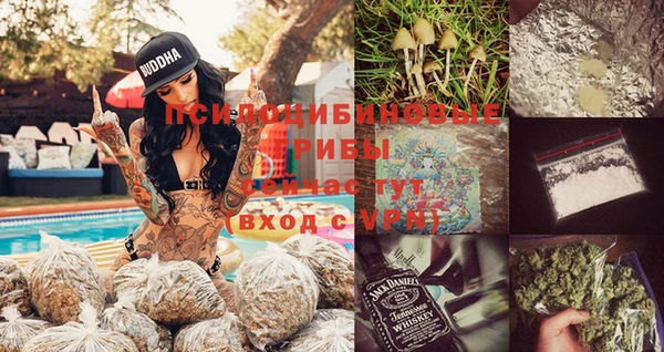 мяу мяу мука Балабаново