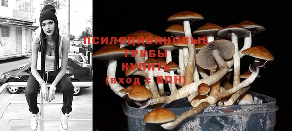 мяу мяу мука Балабаново