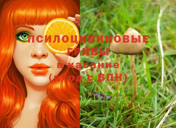 мяу мяу мука Балабаново